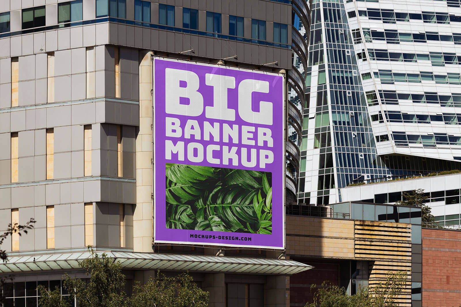 Large Branding